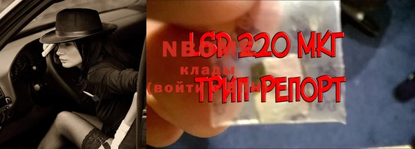 тгк Богданович