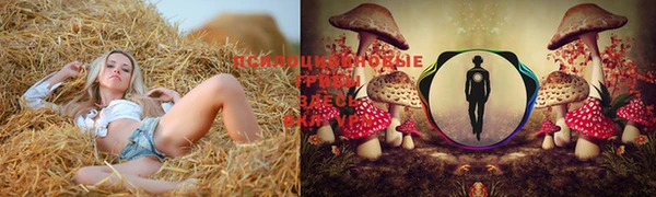 прущая мука Беломорск