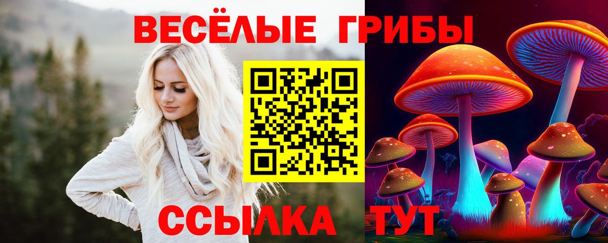 Галлюциногенные грибы Psilocybe Дальнегорск