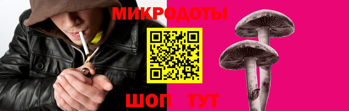 Дальнегорск  Галлюциногенные грибы мухоморы  Псилоцибиновые грибы Psilocybe  Вход с VPN 